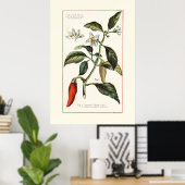 POSTER CAYENNE - ILLUSTRATION BOTANIQUE RÉTRO (Bureau à domicile)