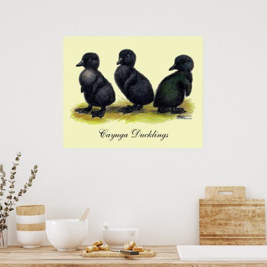 Poster Cayuga noir (Cuisine)