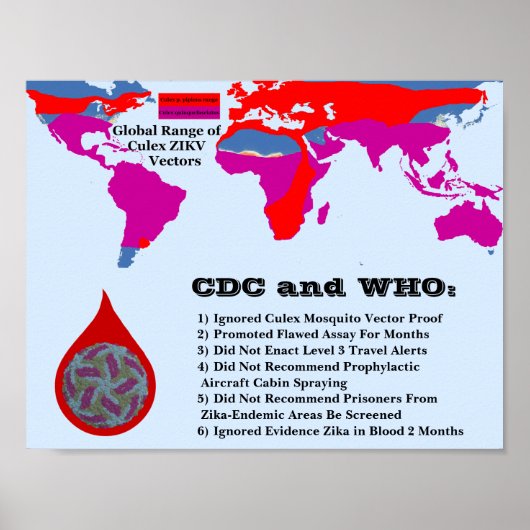 Poster CDC et OMS n'ont pas réussi à protéger les citoyen (Devant)