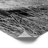 Poster Ce camion ne donne pas de... (Coin)