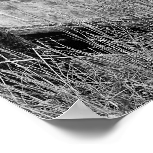 Poster Ce camion ne donne pas de... (Coin)