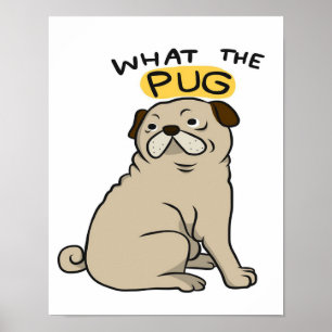 Poster Ce Carlin Mignonne Carlin gras