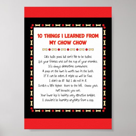 Poster Ce Que J'Ai Appris De Mon Chow Chow (Devant)