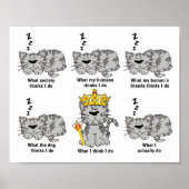 Poster Ce que le chat pense drôle (Devant)