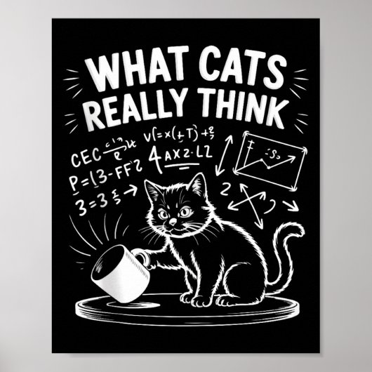 Poster Ce que les chats pensent drôle mème de chat drôle (Devant)