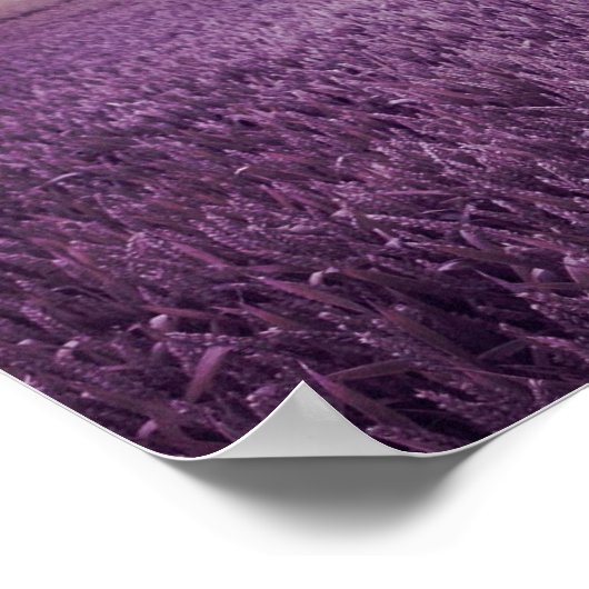 Poster Ce Que Vous Allez Faire (Coin)