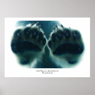 Poster Ce qu'elles ont vu sous la glace