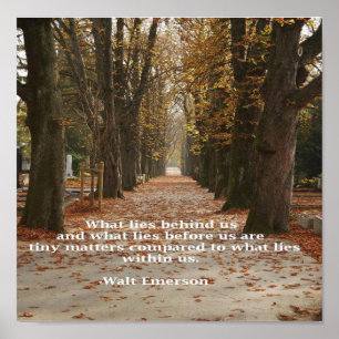 Poster "Ce qui se trouve en nous"