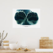 Poster Ce qu'ils ont vu sous la glace (Cuisine)