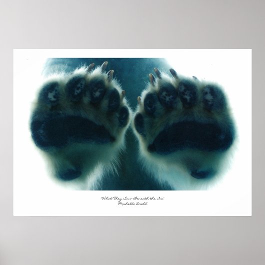 Poster Ce qu'ils ont vu sous la glace (Devant)