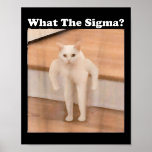 Poster Ce Sigma Mème Chat Mème Internet Mèmes Drôle Mème