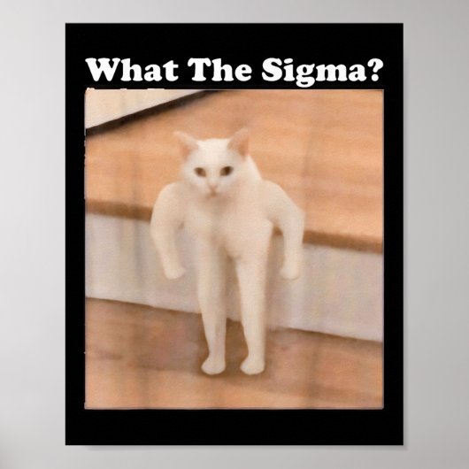 Poster Ce Sigma Mème Chat Mème Internet Mèmes Drôle Mème (Devant)