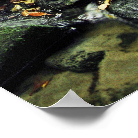 Poster CedarRockFalls_100_026 (Coin)