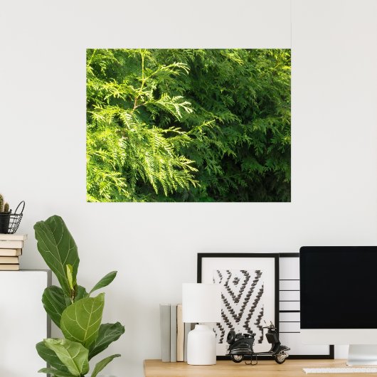 Poster Cèdre (Bureau à domicile)