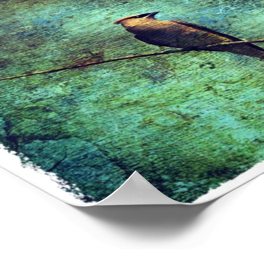 Poster Cèdre (Coin)