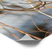 Poster Cèdre Célestes En Animaux D'Hiver (Coin)