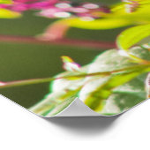 Poster Cèdre Célestes Et Baies De Poke Sur Un Arbre (Coin)