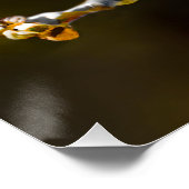 Poster Cèdre cire Songbird Photo originale Oiseau sauvage (Coin)