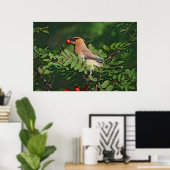 Poster Cèdre cirer Manger Cèdre Cèdre Cèdre Cèdre Berry (Bureau à domicile)