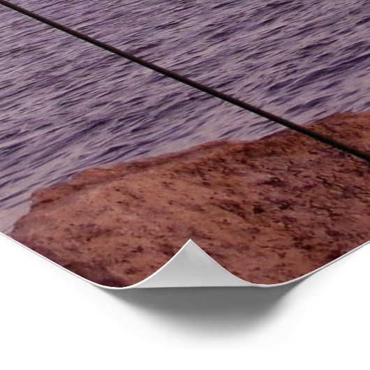 Poster Cèdre Key Fish House & Bird Feeder Imprimer (Coin)