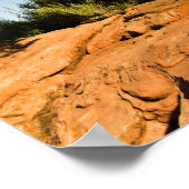 Poster Cèdre solitaire, Deadhorse Point State Park, (Coin)