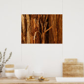 Poster Cèdre texturé en écorce de bois (Cuisine)