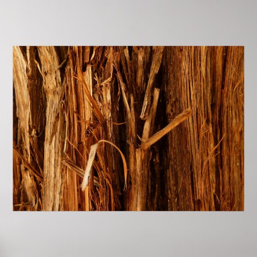 Poster Cèdre texturé en écorce de bois (Devant)