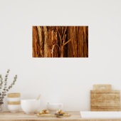 Poster Cèdre texturé en écorce de bois (Cuisine)