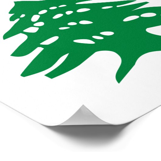 Poster Cèdre vert Liban (Coin)