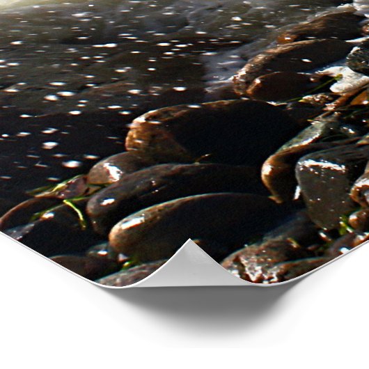 Poster CèdreArbreCou16x20 (Coin)