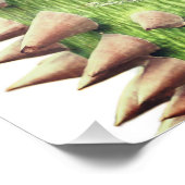 Poster Ceiba speciosa, soie à soie (Coin)