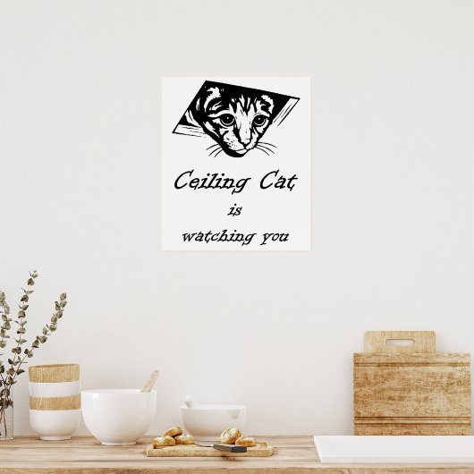 Poster Ceiling Cat vous regarde (Cuisine)