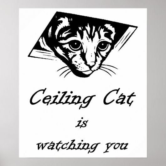 Poster Ceiling Cat vous regarde (Devant)
