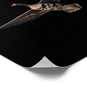 Poster Ceinture à ventre blanc Chemise à oie blanche à fa (Coin)