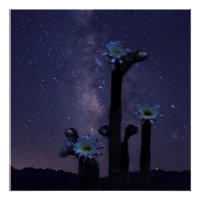 Célébration sous les étoiles