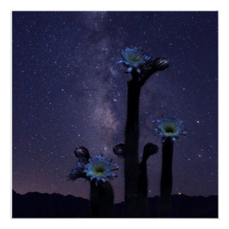 Poster Célébration sous les étoiles