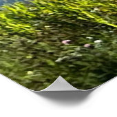 Poster Célébrations norvégiennes (Coin)