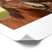 Poster Célébrer l'amitié Citation Imprimer (Coin)