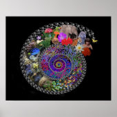 Poster Célébrer l'évolution (Devant)