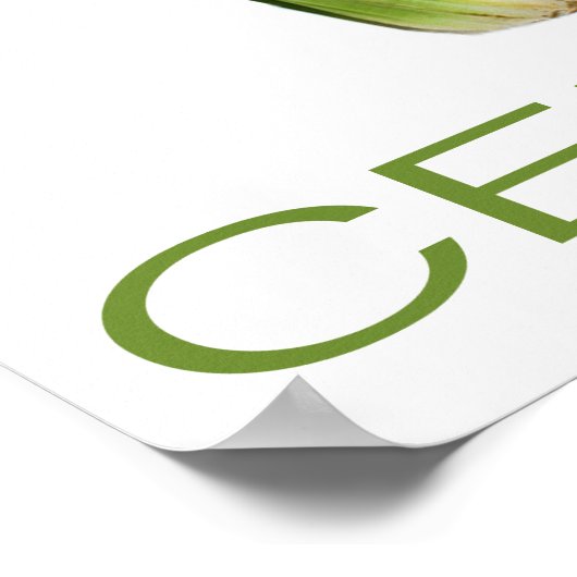 Poster céleri (Coin)