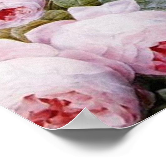 POSTER CÉLESTE (Coin)