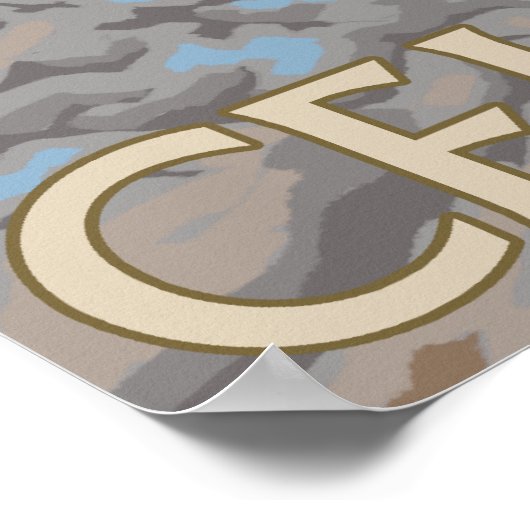 Poster Celilo Falls Fishing (Coin)