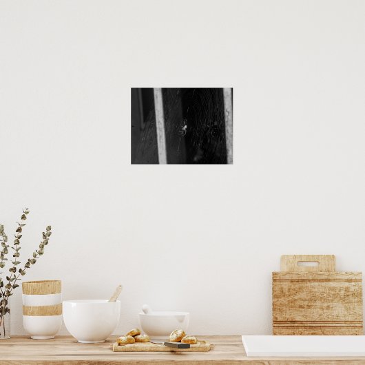 Poster Cellar Spider (Cuisine)