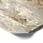 Poster Cello Serenade  (Coin)