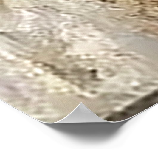 Poster Cello Serenade  (Coin)