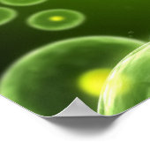 Poster Cells 2 (Coin)