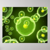 Poster Cells 2 (Devant)