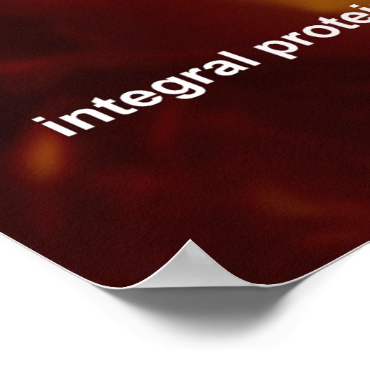 Poster Cellule animale (Coin)