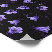 Poster Cellules bleues de minuit, cloches, Bellflowers (Coin)