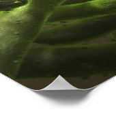 Poster Cellules de Mycobacterium tuberculosis (Coin)